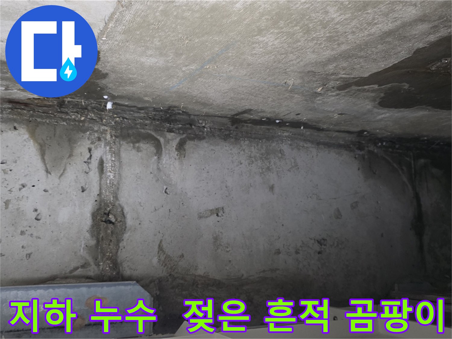 남양주 오남 두산 지하 누수 - 젖은 흔적 곰팡이