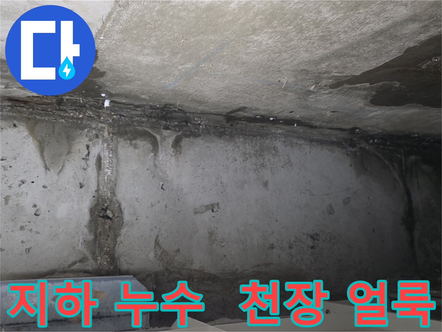 남양주 오남 두산 지하 누수 - 천장 물 얼룩