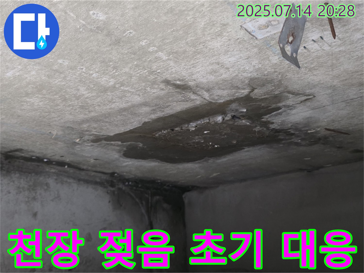 남양주 오남읍 두산아파트 누수 - 콘크리트 천장 젖음, 초기 대응의 중요성을 보여주는 현장