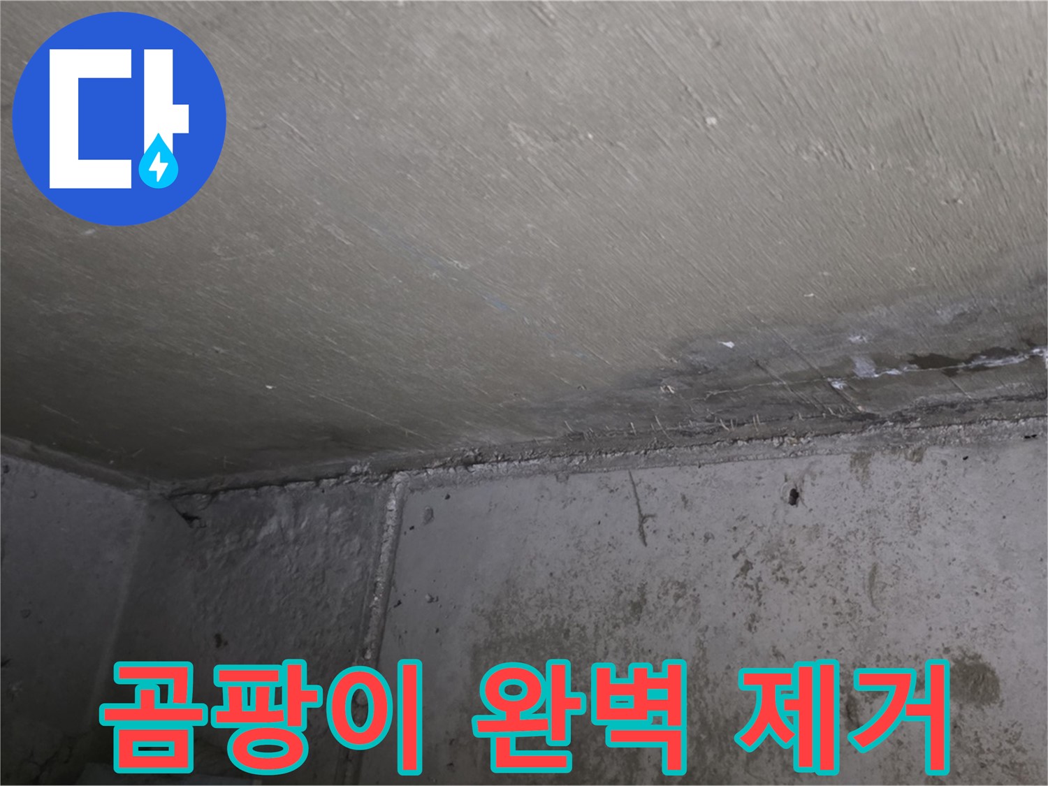 남양주 오남읍 두산아파트 베란다 누수 - 곰팡이 완벽 제거