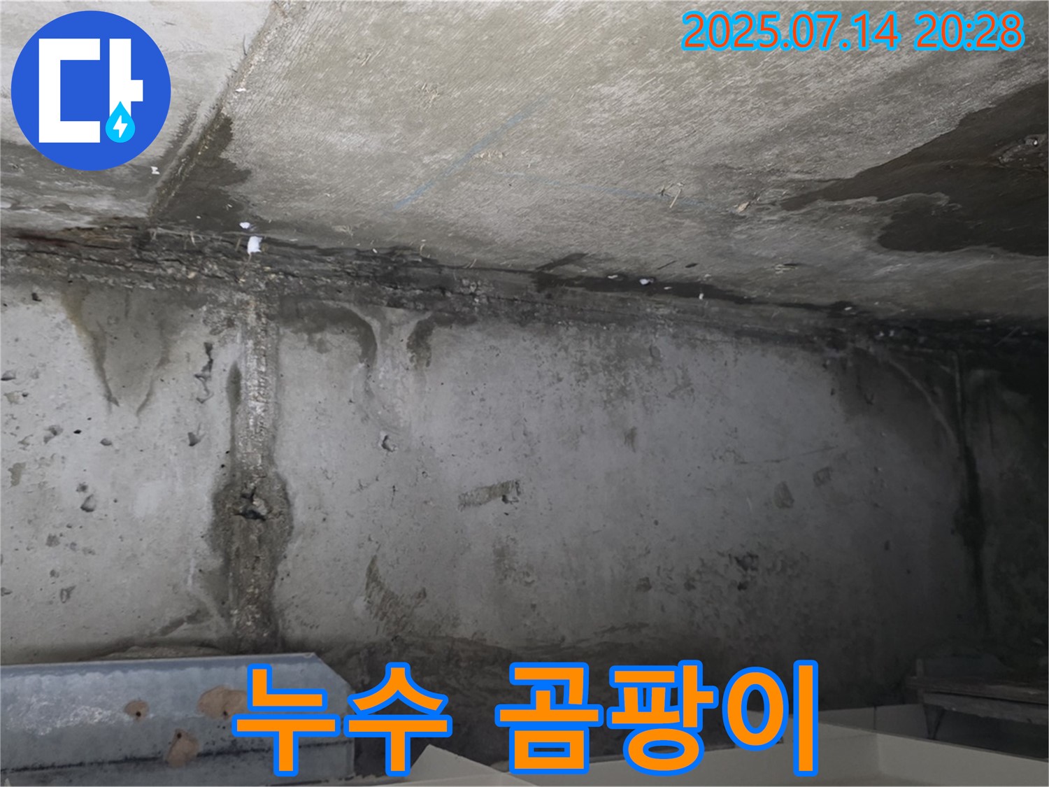 남양주 오남읍 두산아파트 지하 주차장 - 누수로 인한 곰팡이