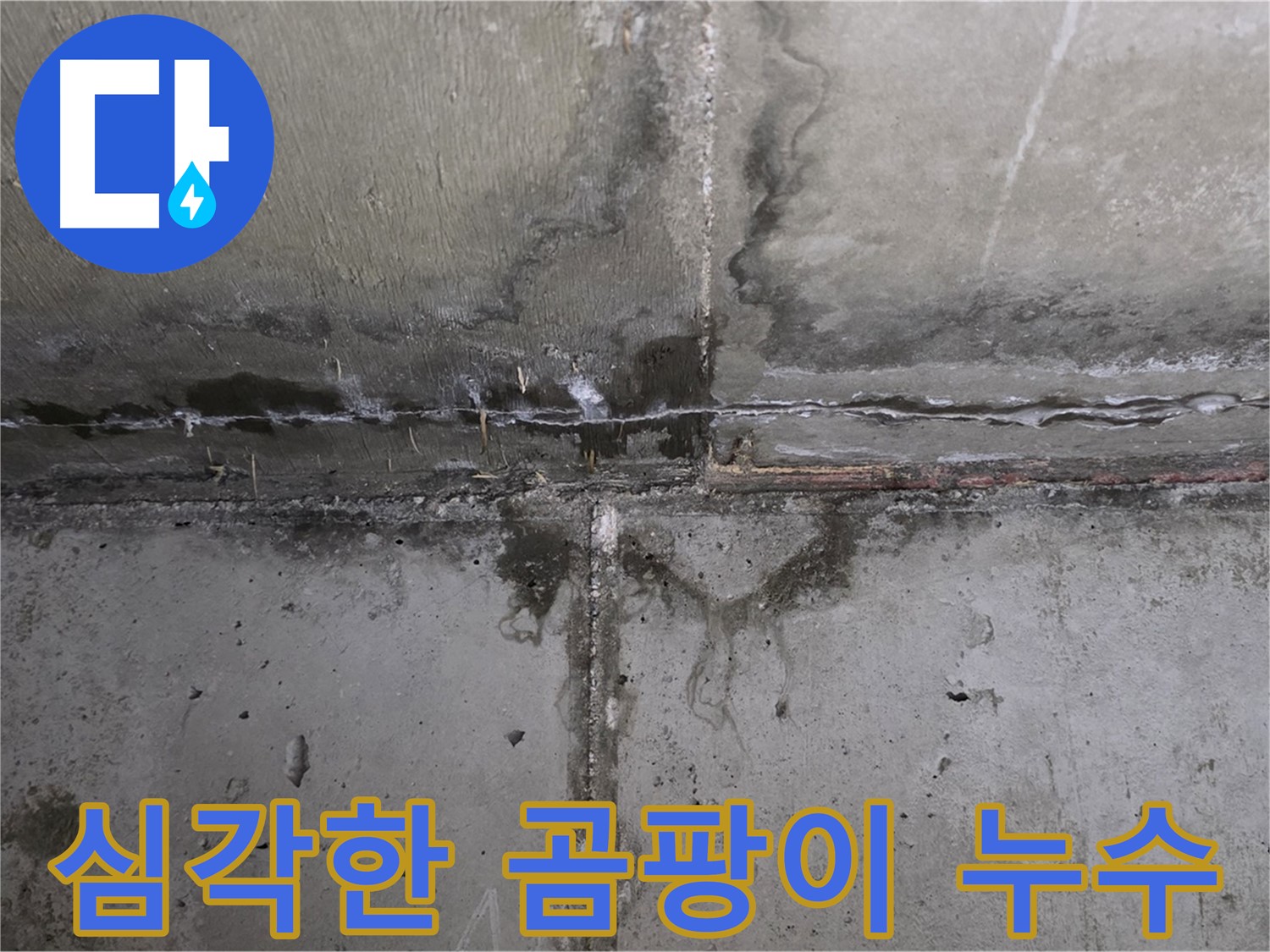 남양주 오남읍 아파트 누수 현장 - 곰팡이 발생 부위 확인