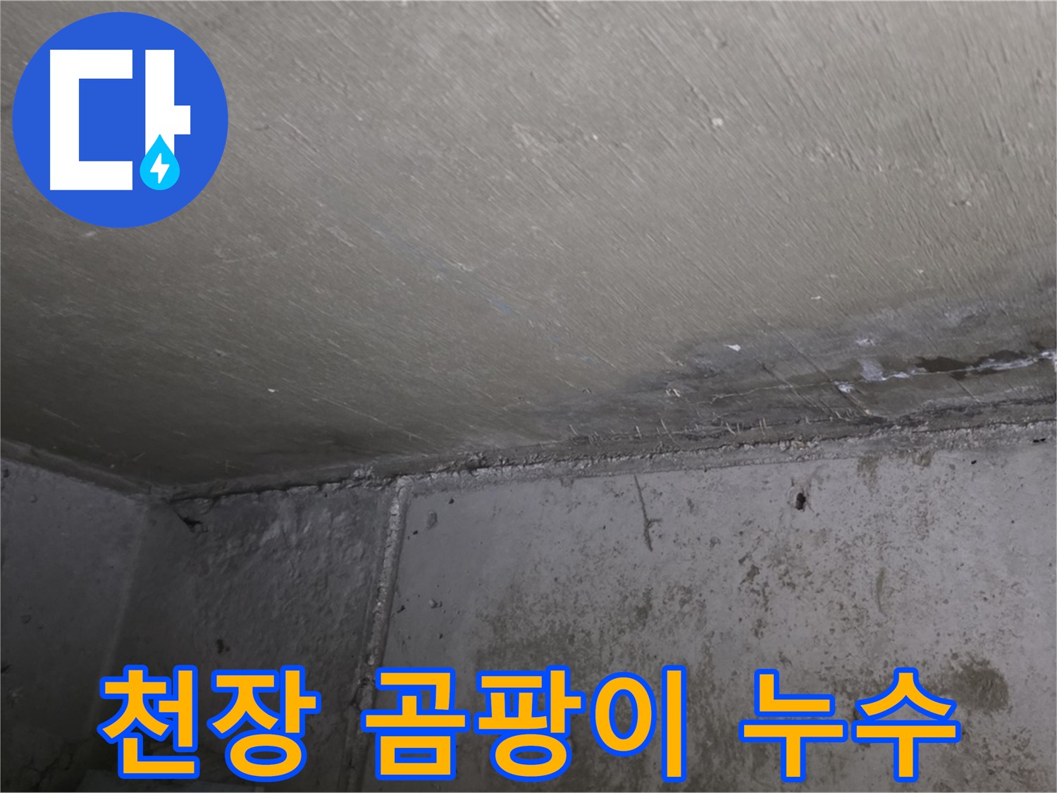 남양주 오남읍 아파트 천장 곰팡이 - 누수 흔적