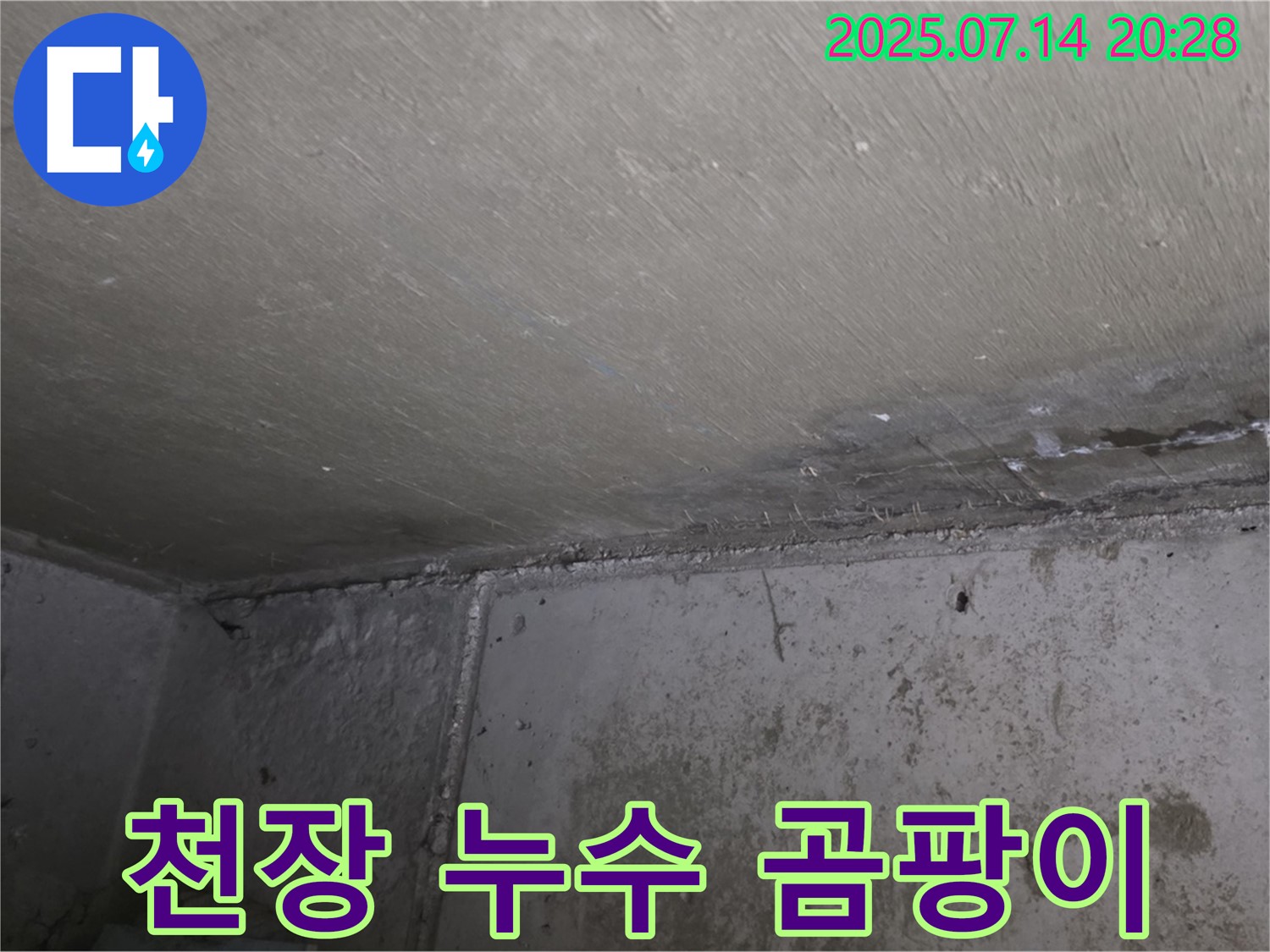 남양주시 오남읍 두산아파트 누수 - 천장 누수 방치 시 곰팡이 발생 위험 증가