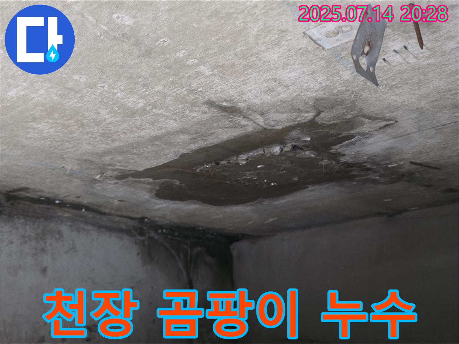 남양주시 오남읍 두산아파트 누수 - 콘크리트 천장 누수 지점 주변에 발생한 곰팡이