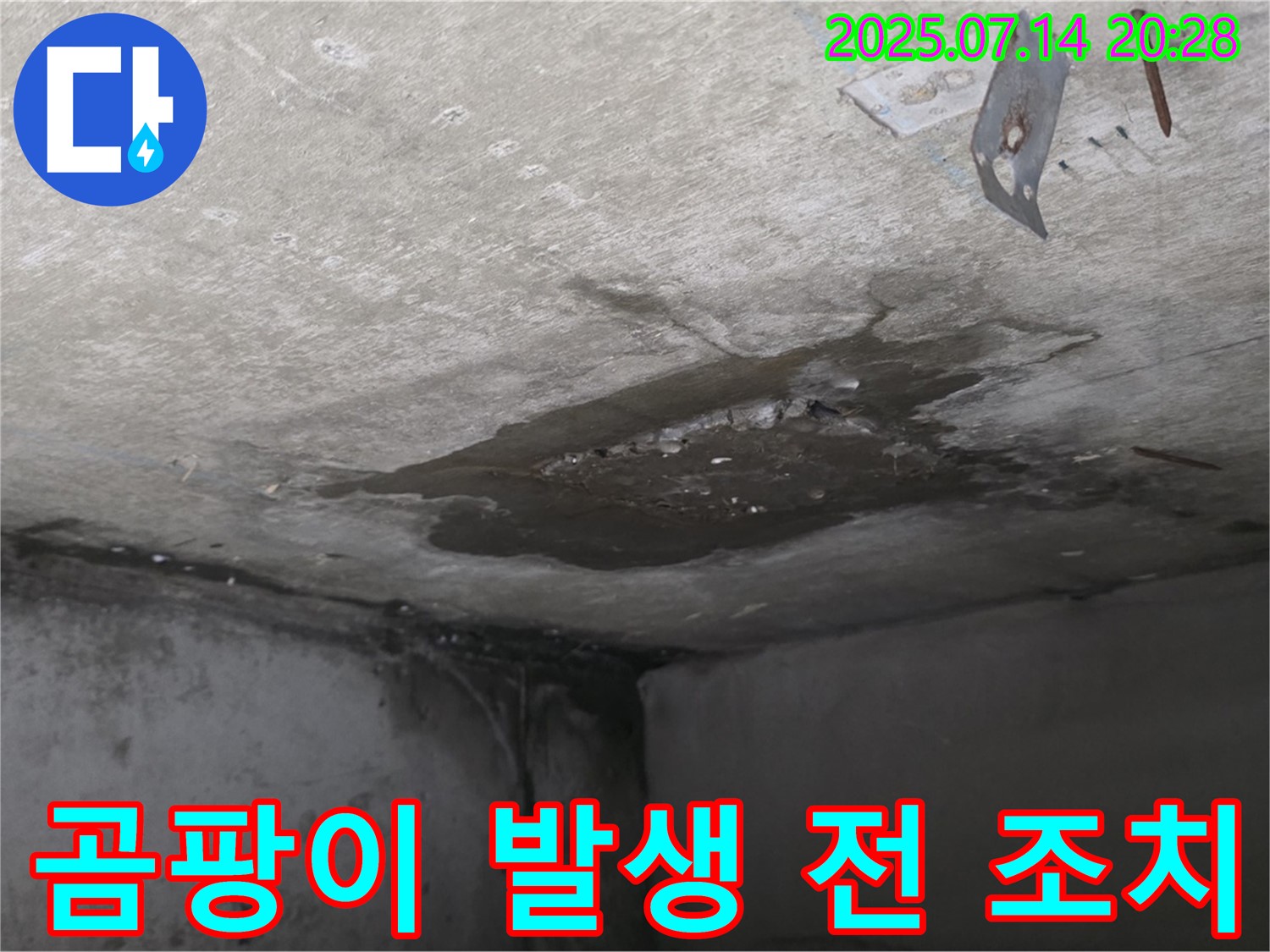 남양주시 오남읍 두산아파트 콘크리트 천장 누수 - 곰팡이 발생 전 조치가 필요한 상황