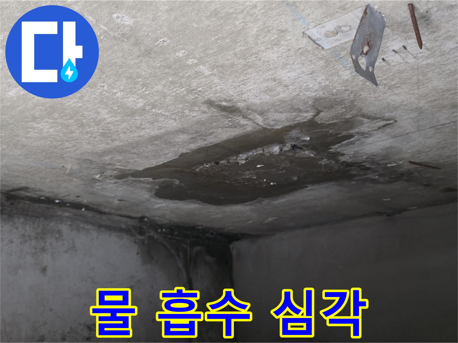 심각한 콘크리트 물 흡수 - 남양주 오남 누수