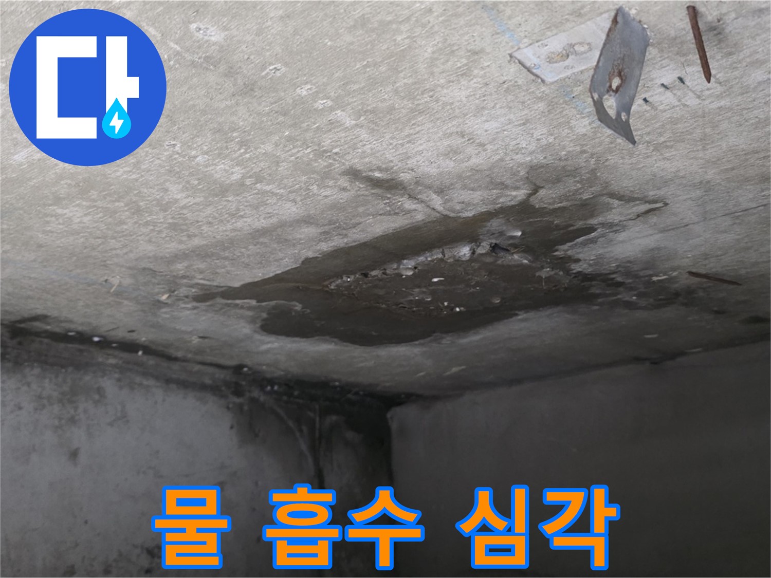 심각한 콘크리트 물 흡수 - 남양주 오남 누수