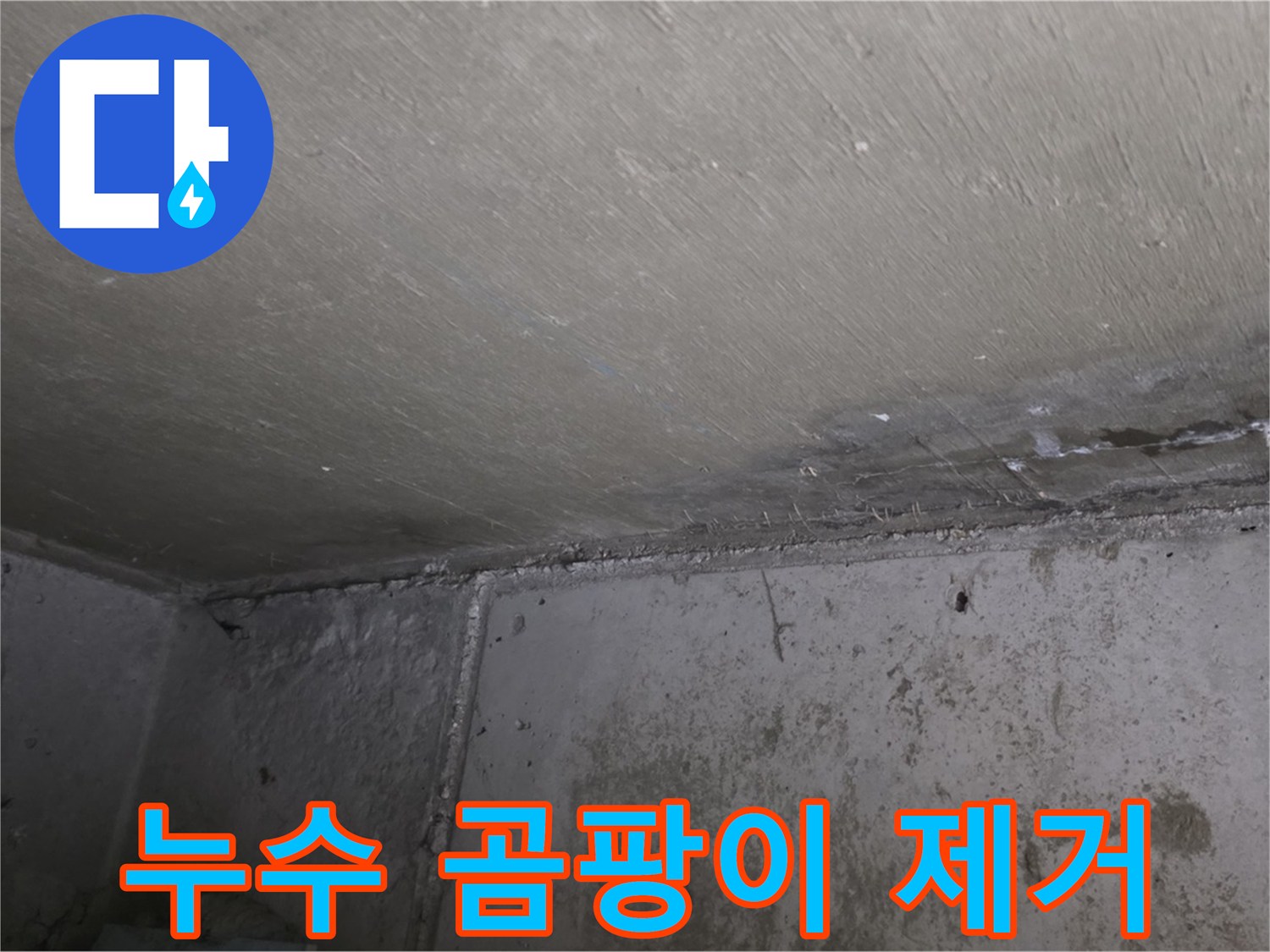 오남 두산아파트 누수 공사 후 천장 - 곰팡이 제거