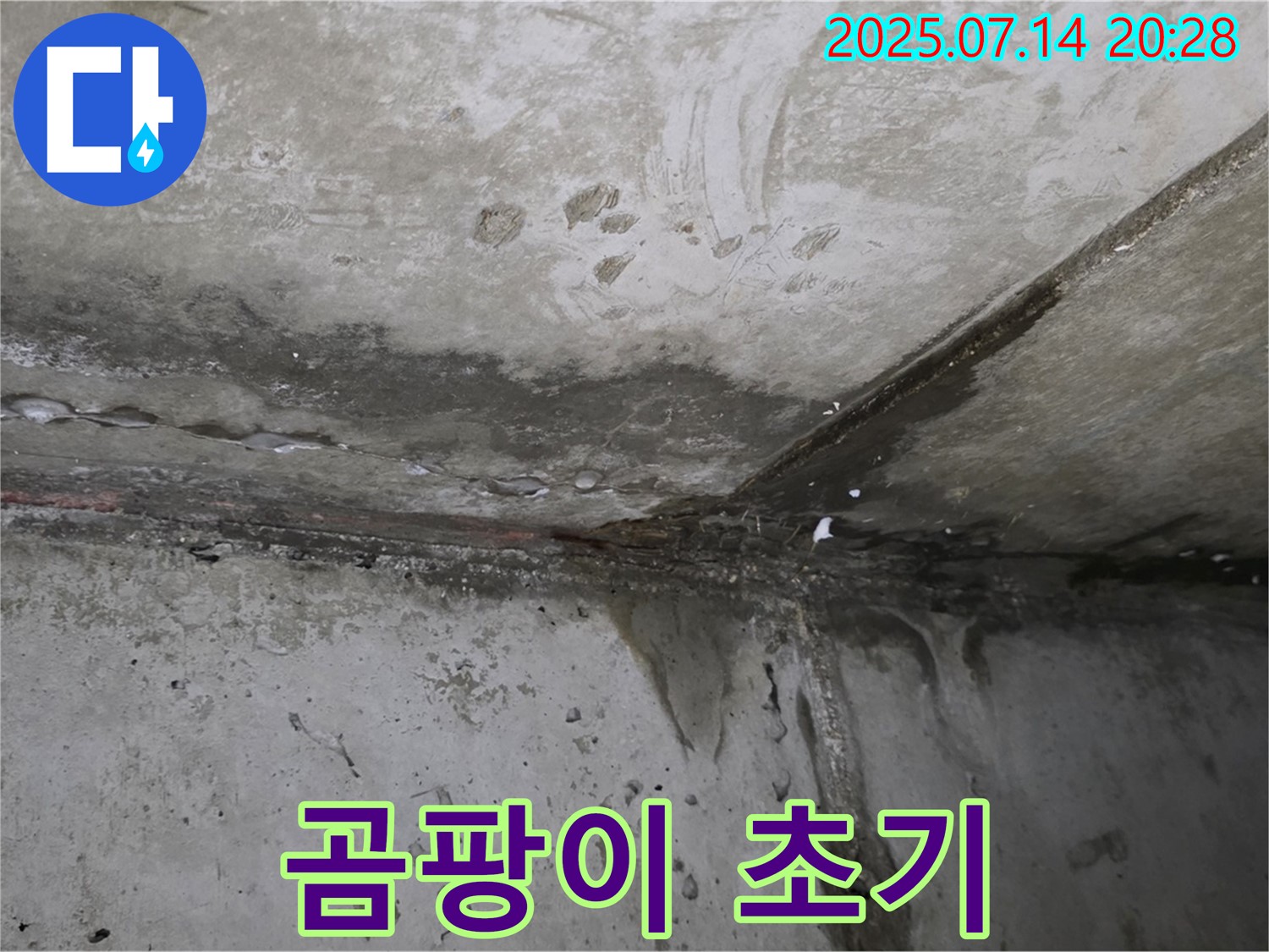 오남리 두산아파트 천장 누수 - 곰팡이 발생 초기 - 누수 점검