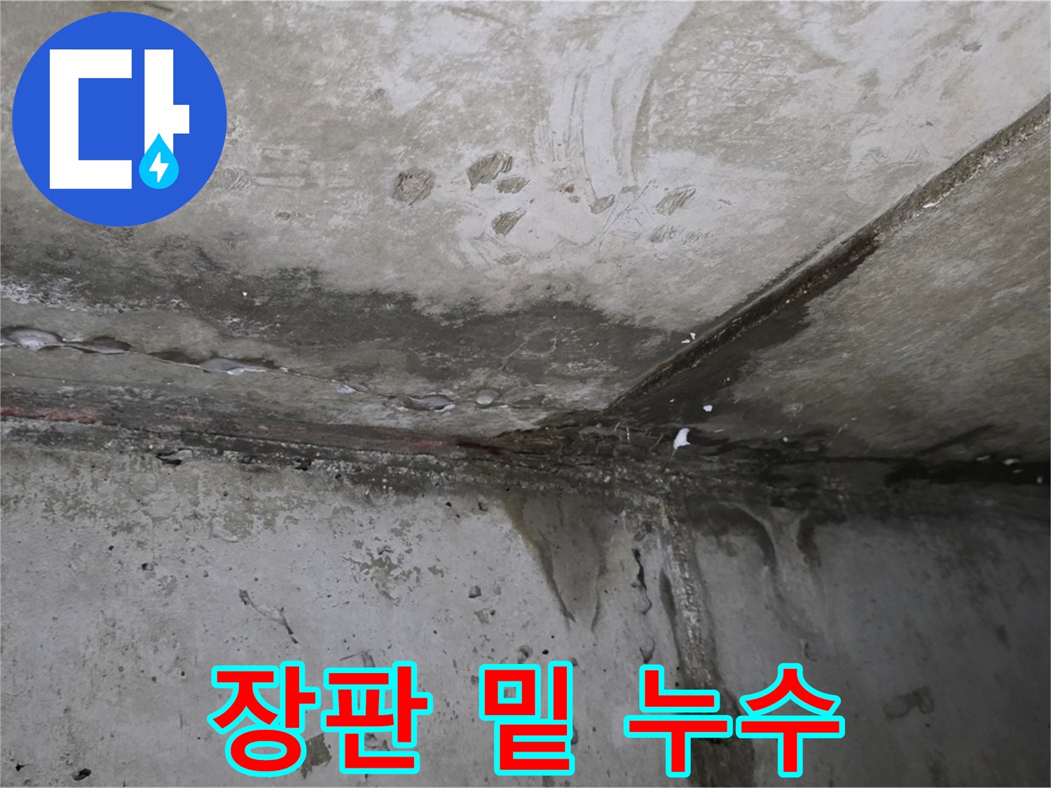 오남리 아파트 누수 - 장판 밑 습기, 곰팡이 완벽 해결
