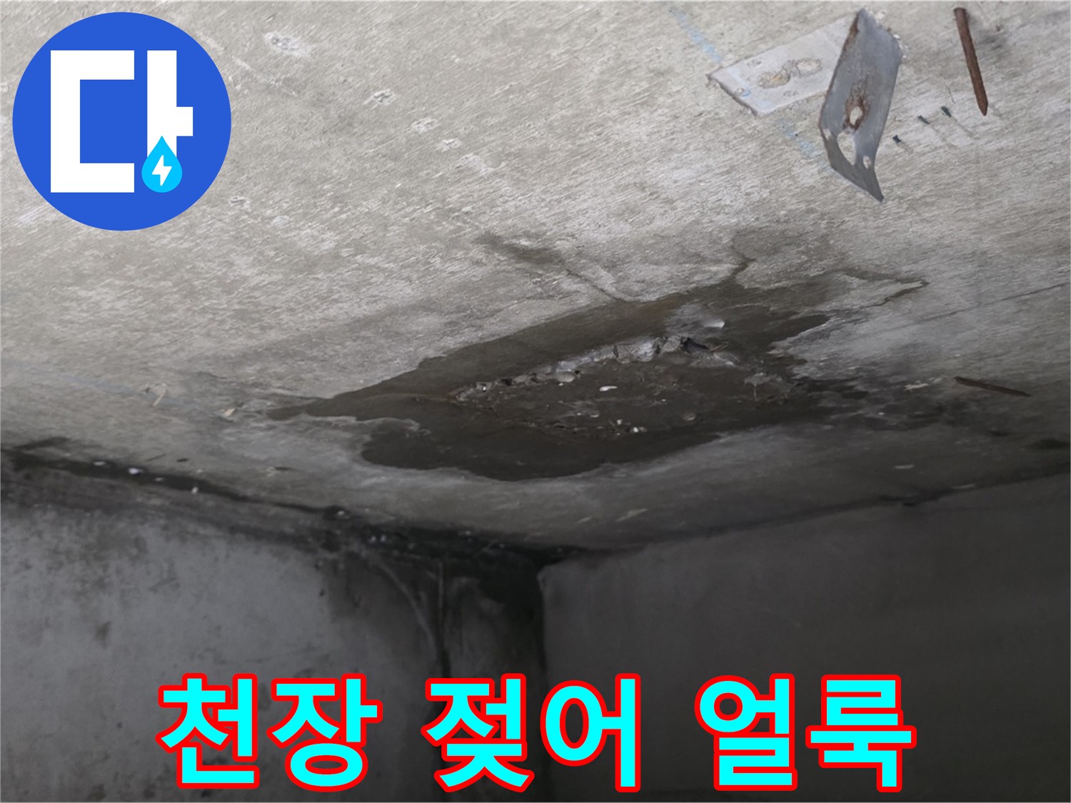 젖어 얼룩진 콘크리트 천장 - 남양주 오남 누수