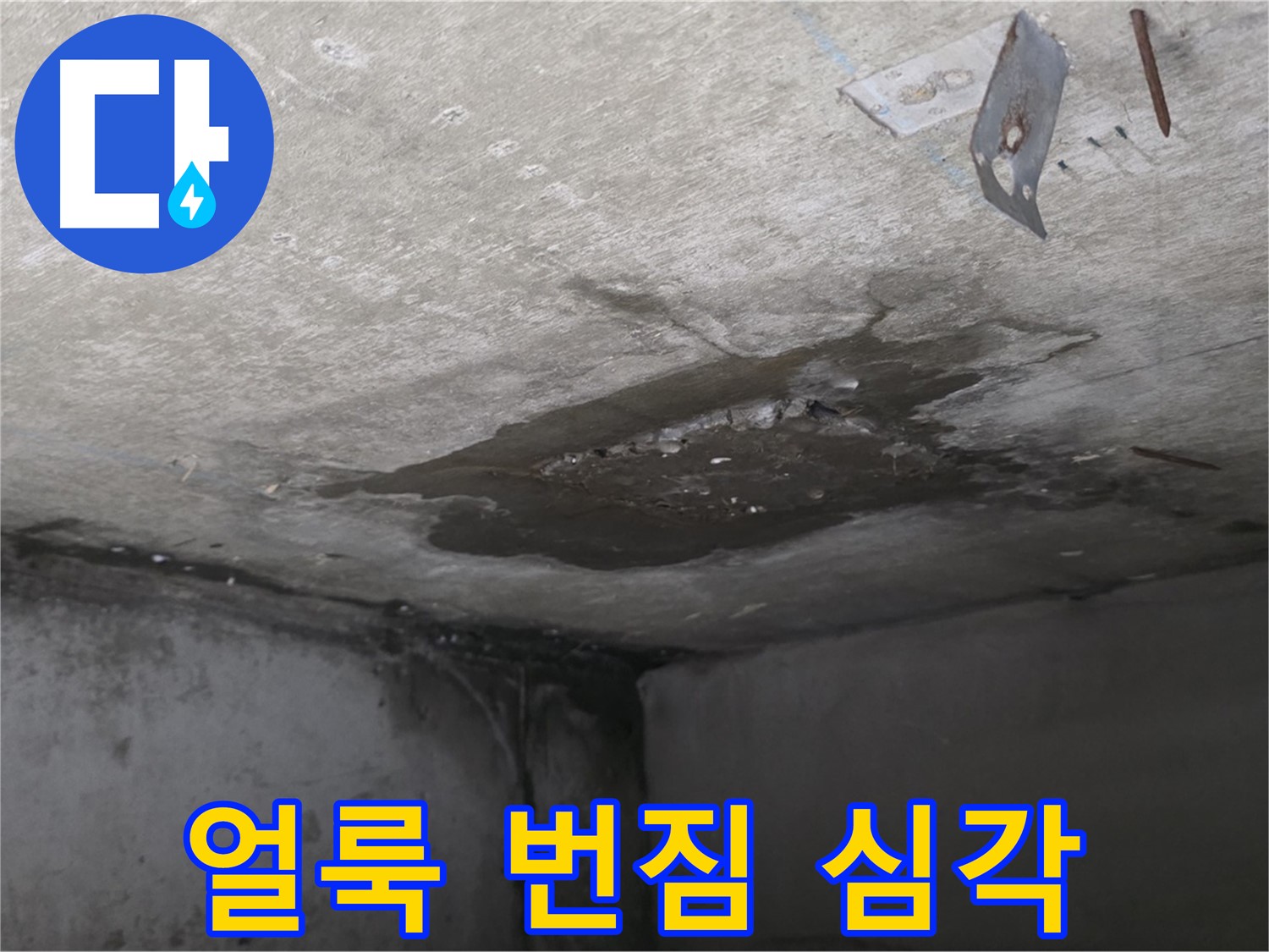 콘크리트 얼룩 번짐 심각 - 남양주 오남 누수