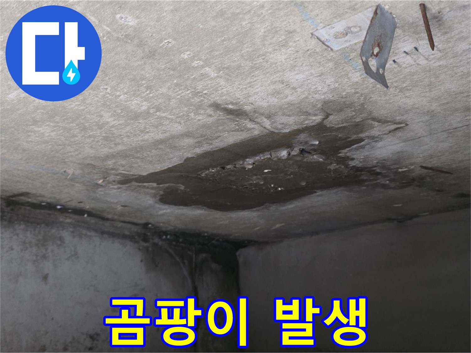 콘크리트 표면 곰팡이 발생 - 남양주 오남 누수