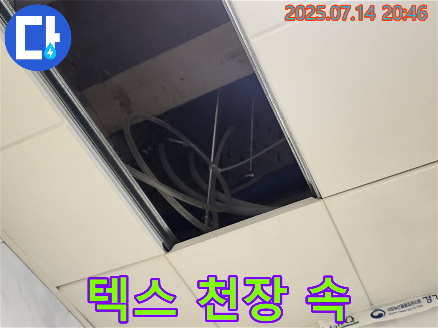 다산동 텍스 천장 속 누수 확인 - 숨겨진 누수 발견