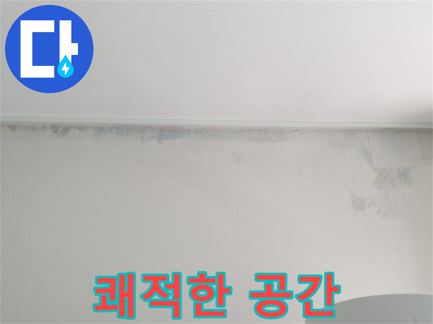 노원구 중계동 곰팡이 - 곰팡이 OUT