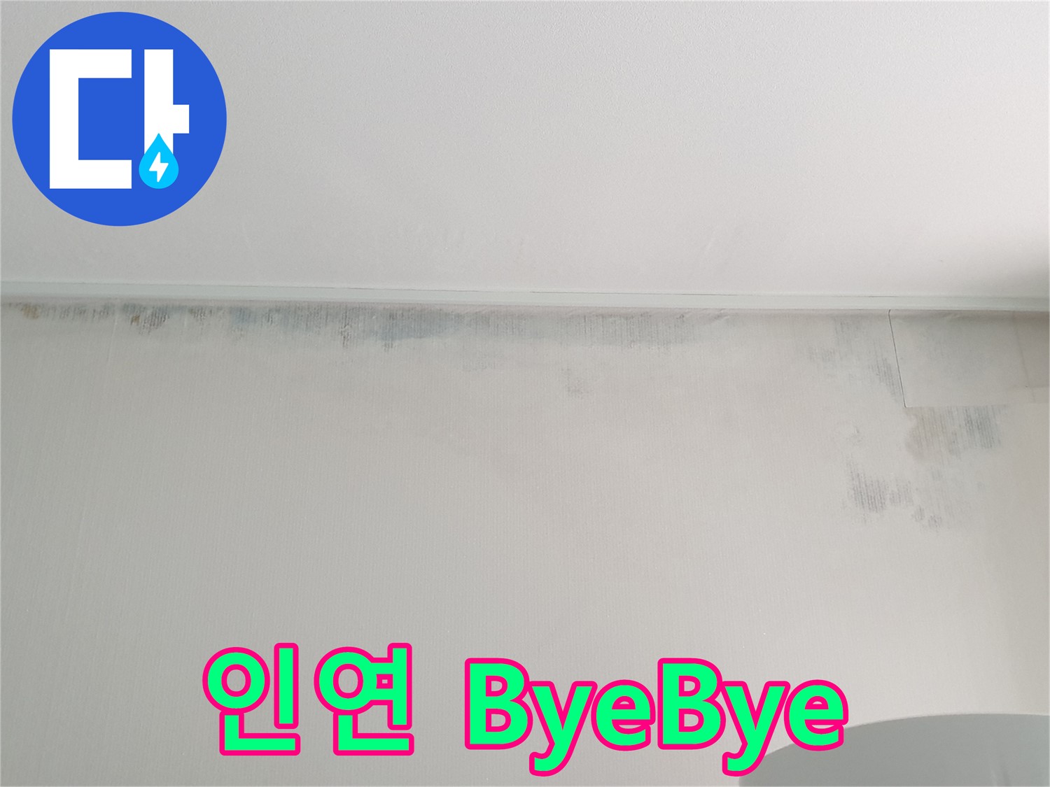 노원구 중계동 곰팡이 - 인연 ByeBye
