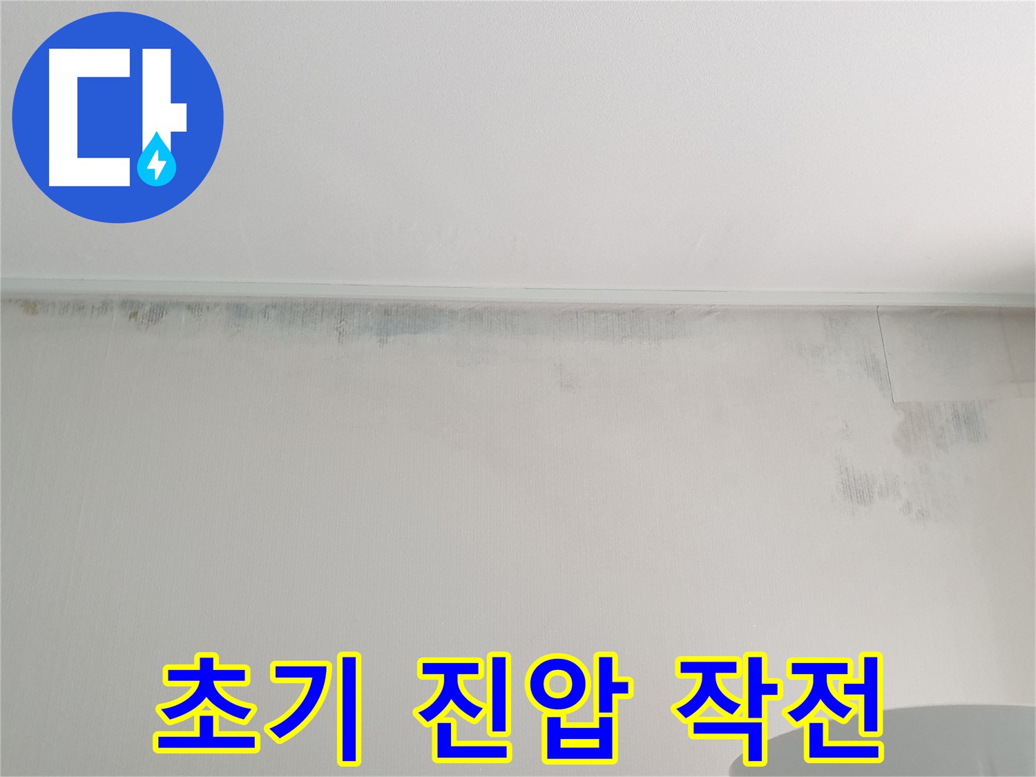 노원구 중계동 곰팡이 - 초기 진압 작전 개시