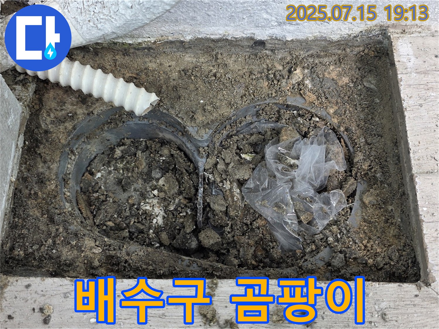 노원구 중계동 청구3차 아파트 베란다 배수구 - 곰팡이 때문에 찝찝함