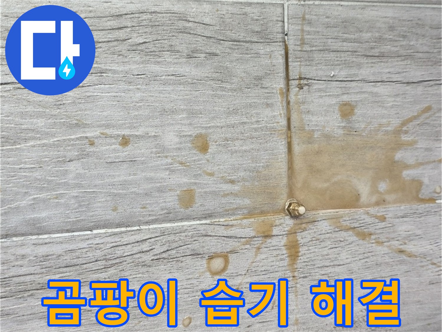 마루 곰팡이 - 습기 제거와 인젝션 방수로 쾌적하게