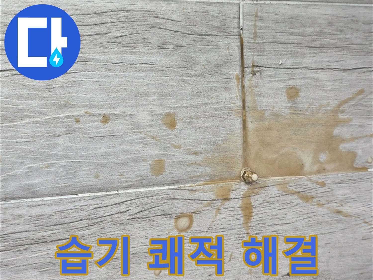 마루 아래 습기 - 곰팡이 걱정? 인젝션 방수로 쾌적하게