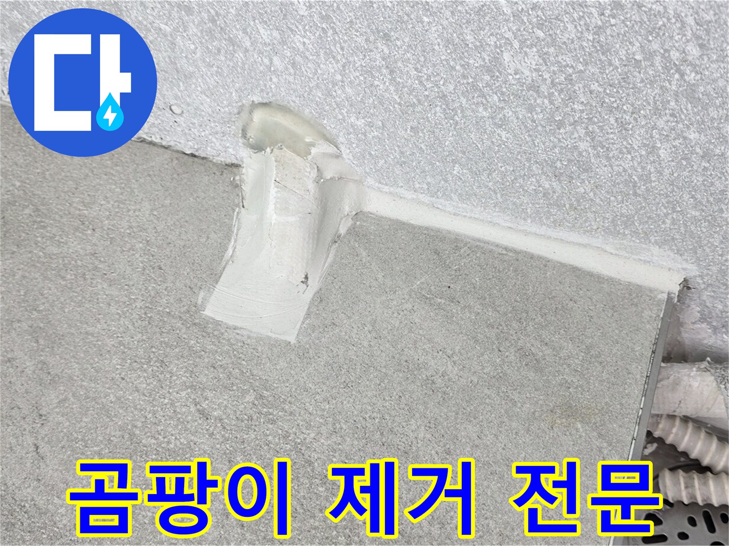 베란다 곰팡이 제거 전문 시공으로 쾌적한 공간