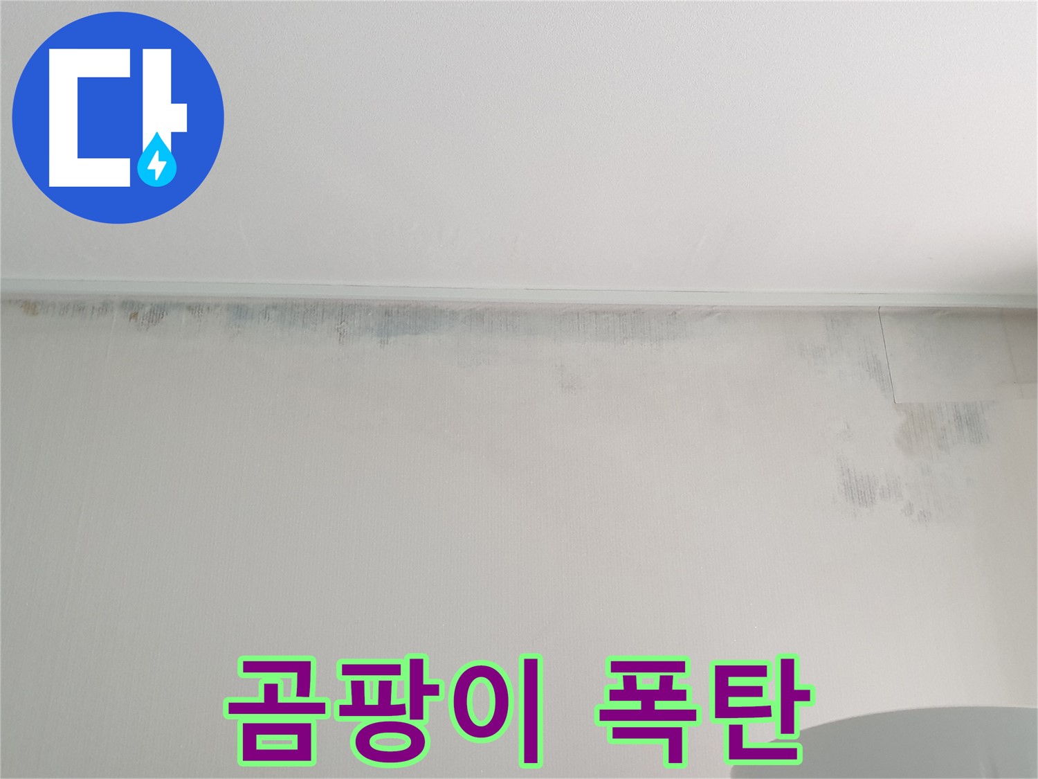 중계2동 청구3차 곰팡이 - 곰팡이 폭탄 제거