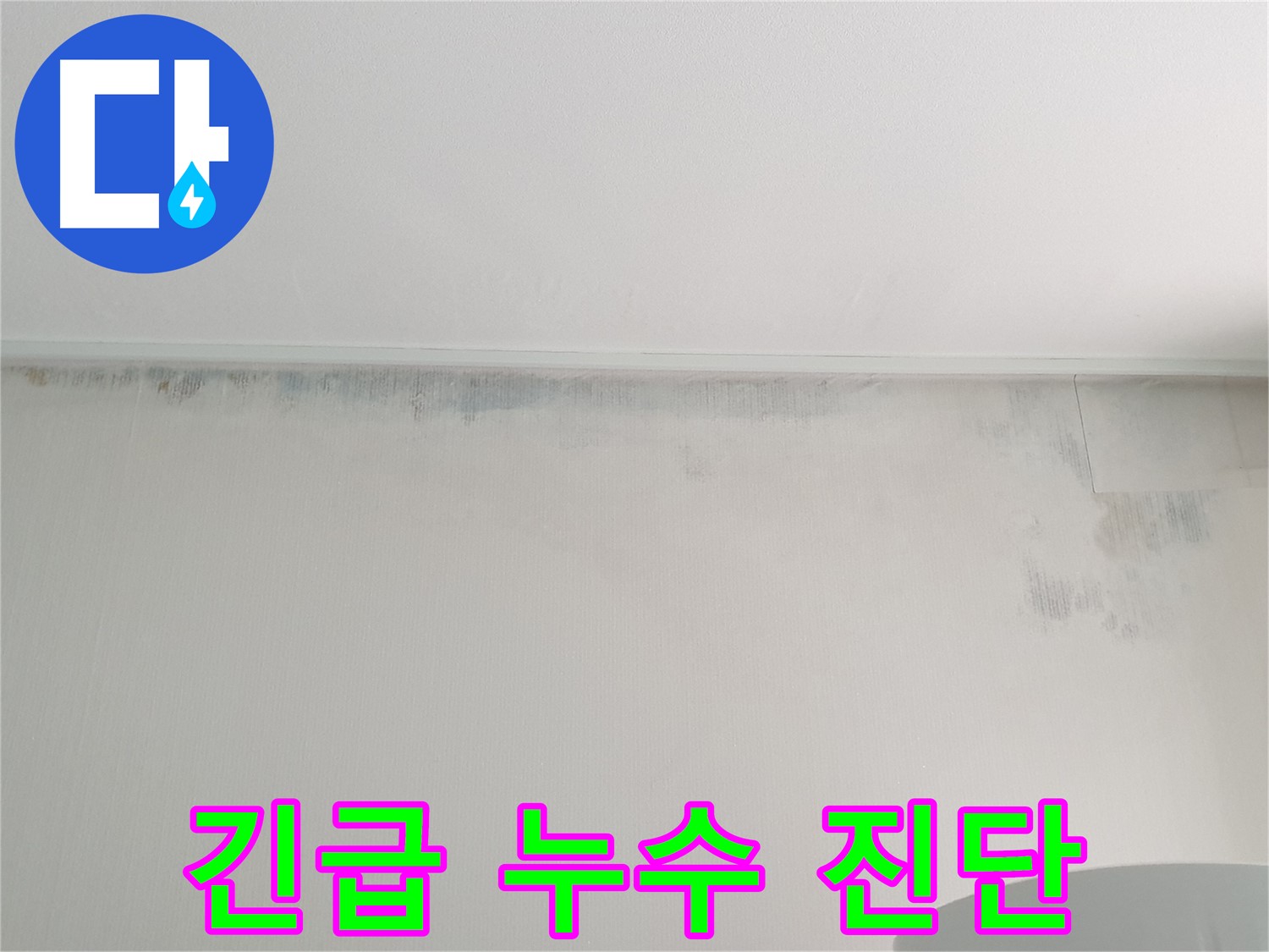 중계2동 청구3차 곰팡이 - 긴급 누수 진단 실시
