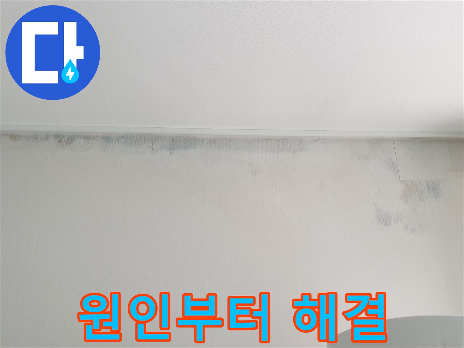 중계2동 청구3차 곰팡이 - 원인부터 해결