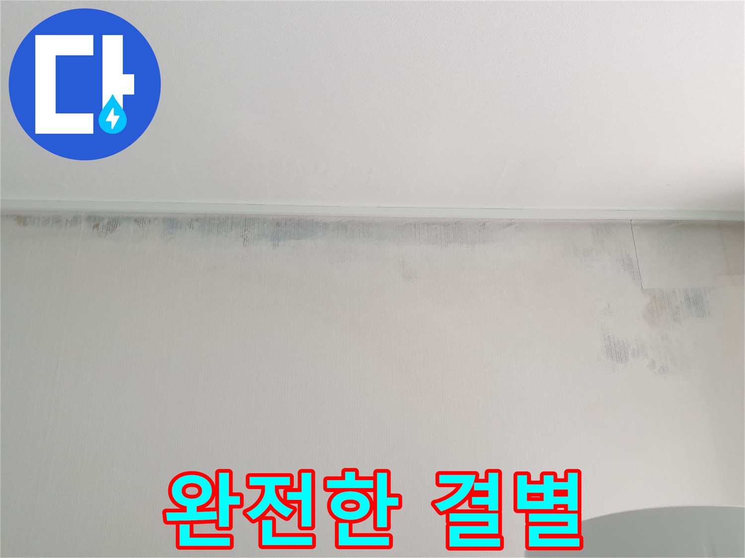 중계동 아파트 곰팡이 - 완전한 결별 선언