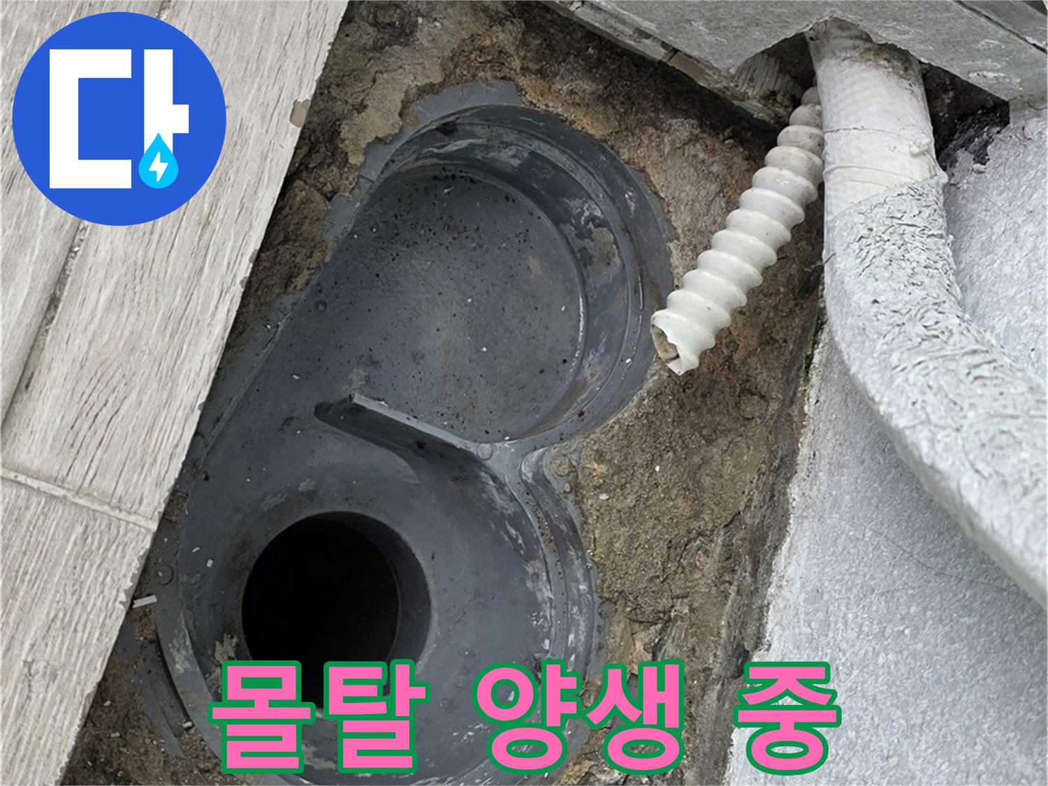 중계동 욕실 - 배수구 수평을 맞추고 몰탈 양생 중