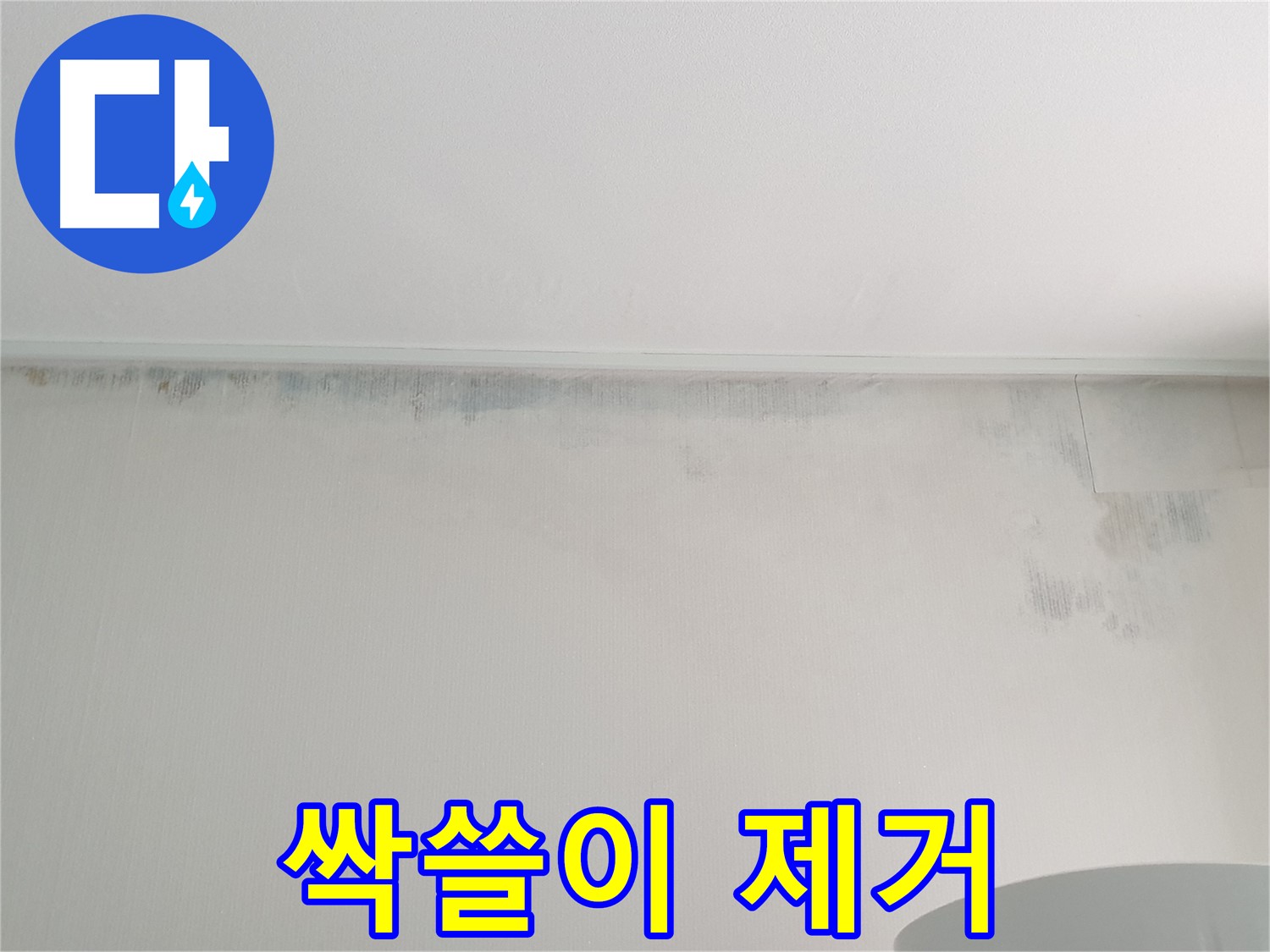 중계동 청구3차 곰팡이 - 곰팡이 싹쓸이
