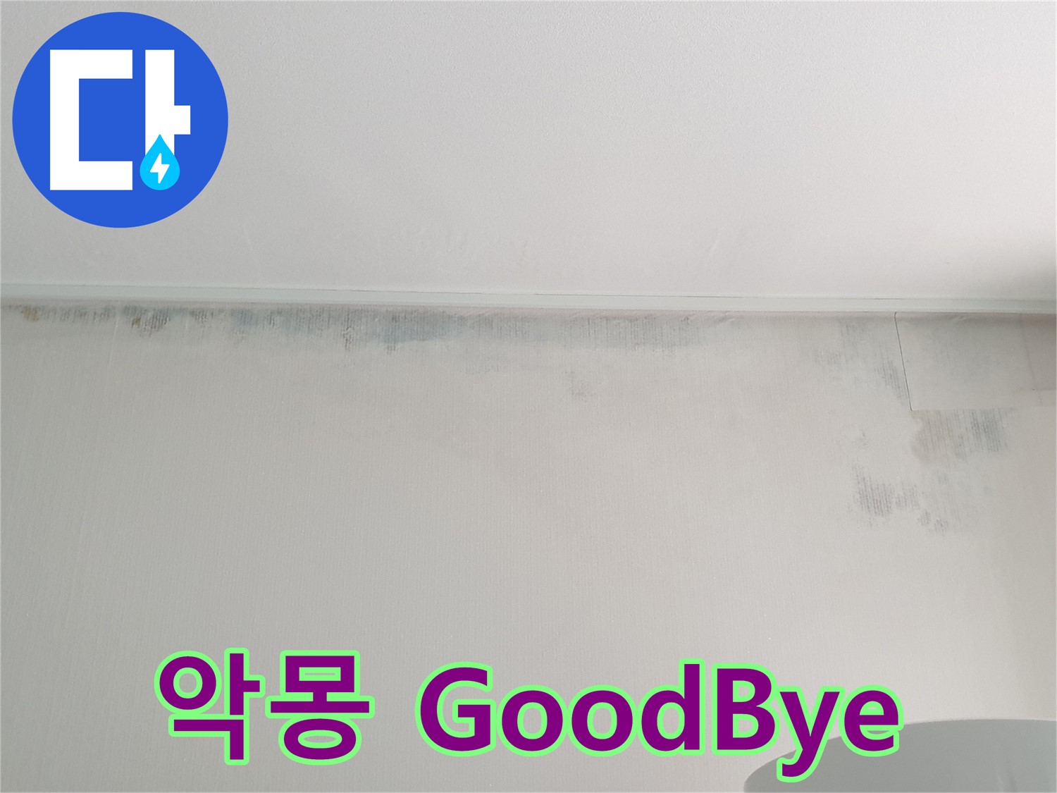 중계동 청구3차 곰팡이 - 악몽 GoodBye