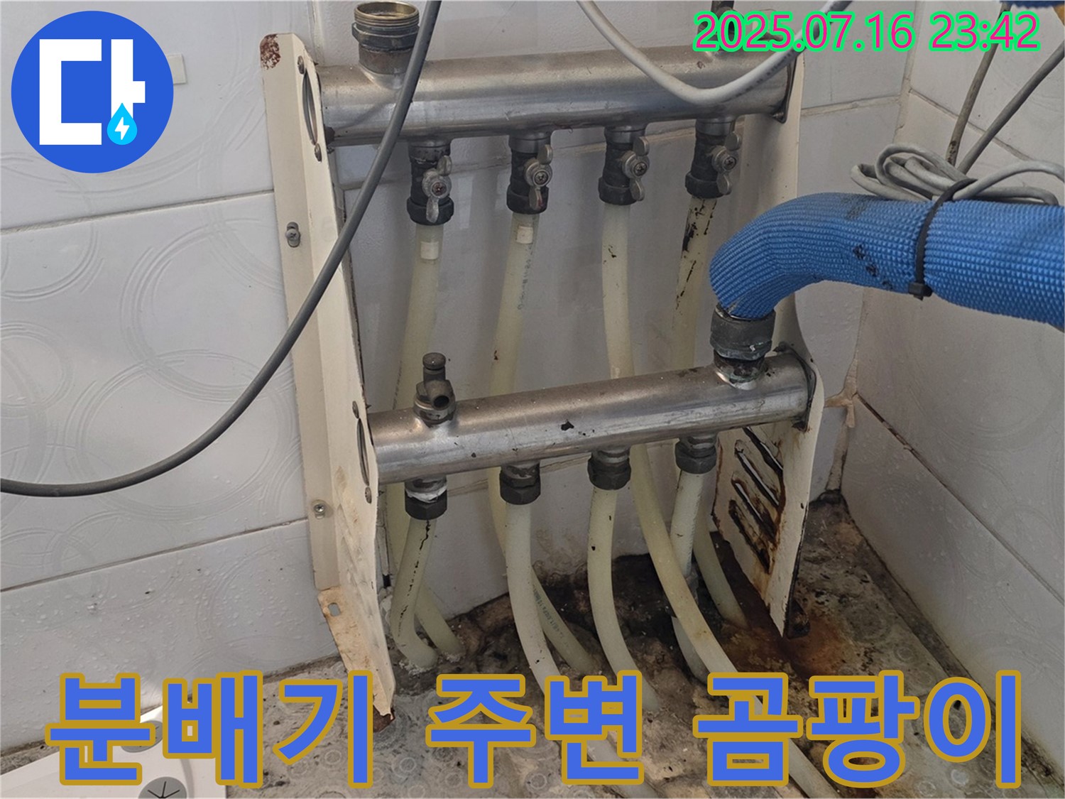 강북구 누수 현장 - 분배기 주변 곰팡이 발생 - 습기 누적 의심.