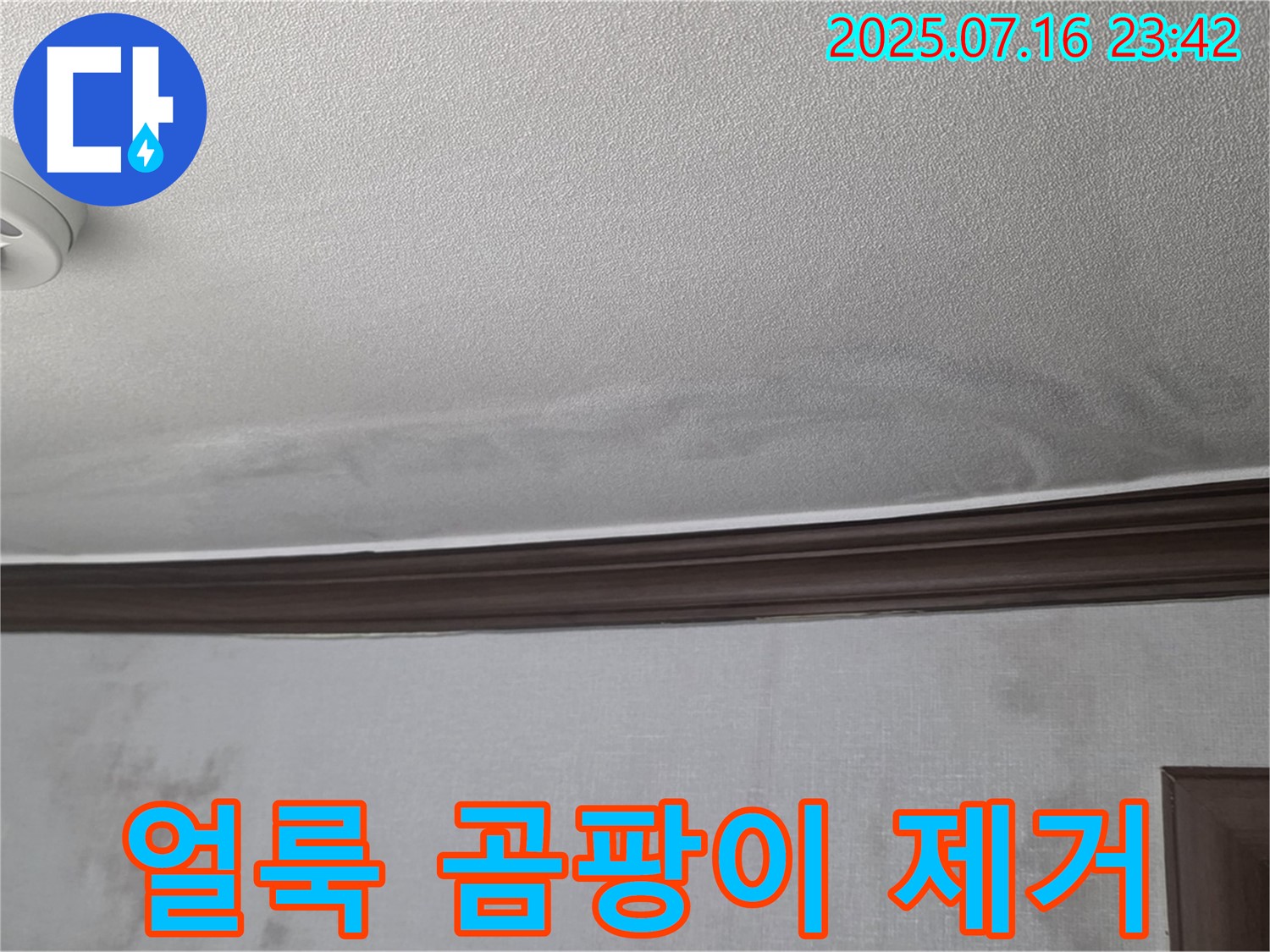 강북구 미아동 빌라 누수 현장 - 천장 얼룩과 곰팡이 제거가 시급한 상황