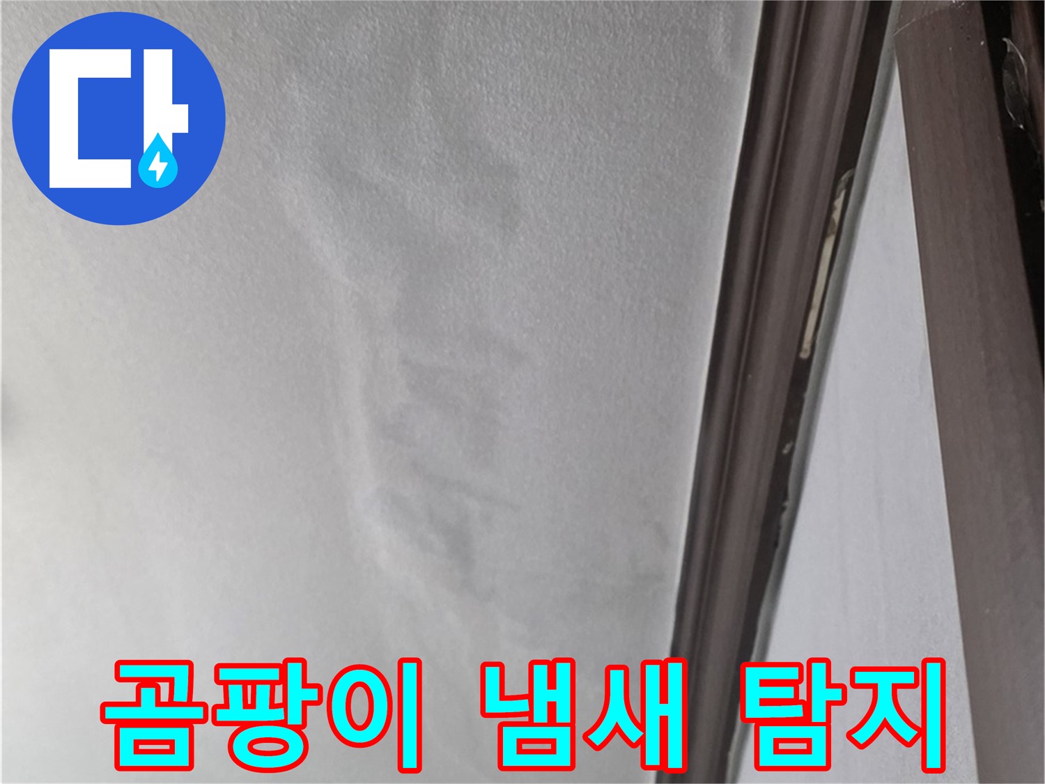 강북구 벽 누수 - 곰팡이 냄새 누수 신호