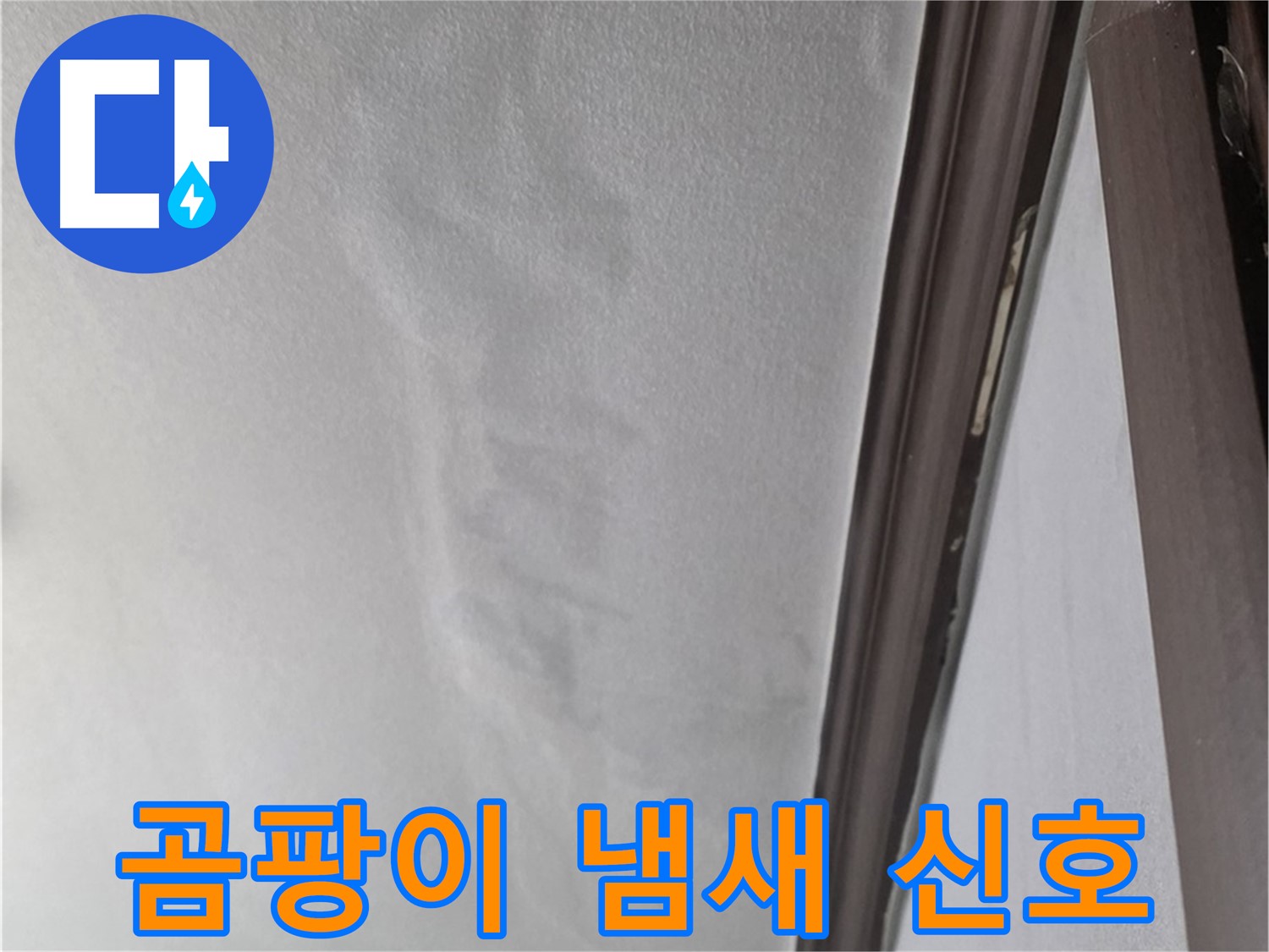 강북구 벽 누수 - 곰팡이 냄새 누수 신호