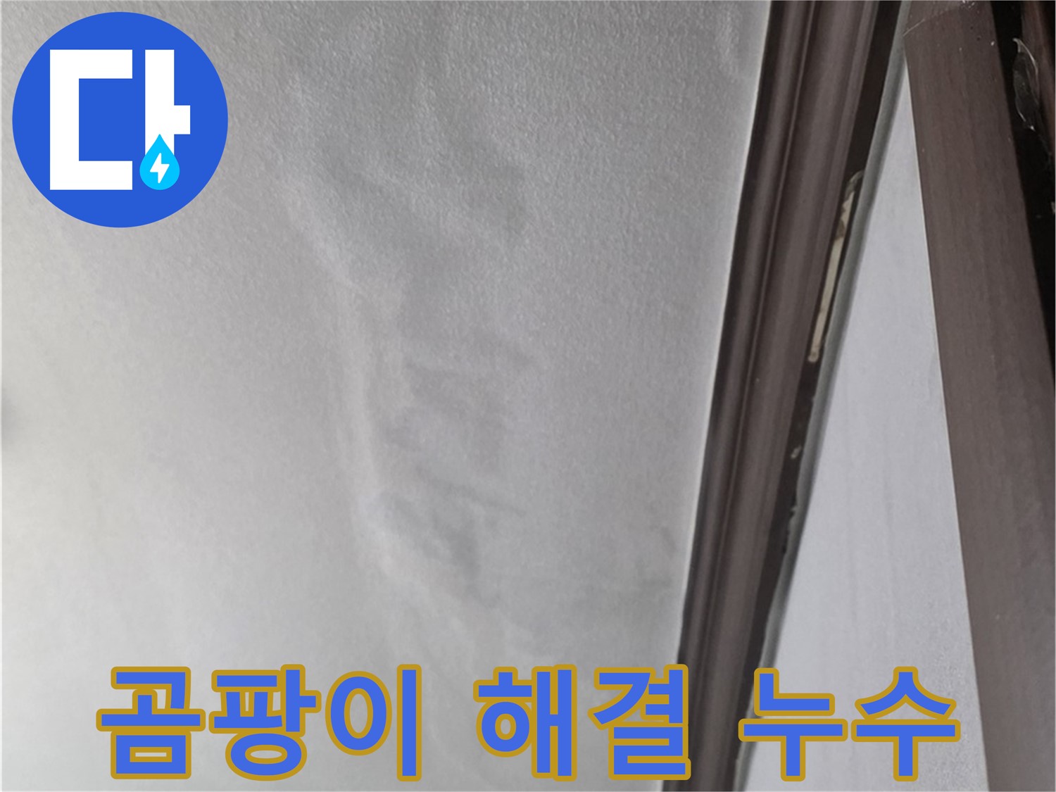 강북구 벽 누수 - 곰팡이 문제 해결