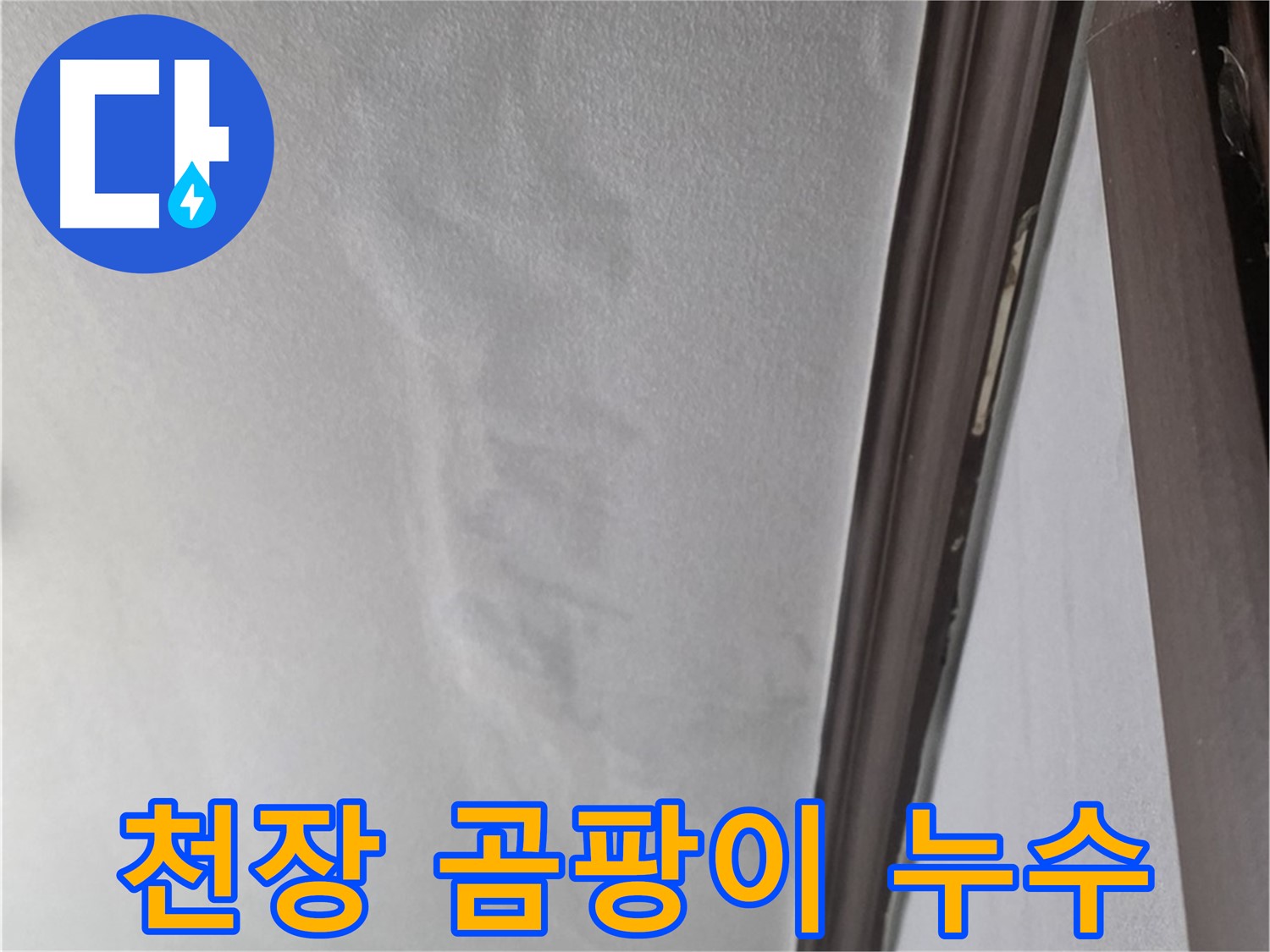 강북구 천장 누수 - 천장 곰팡이 발생