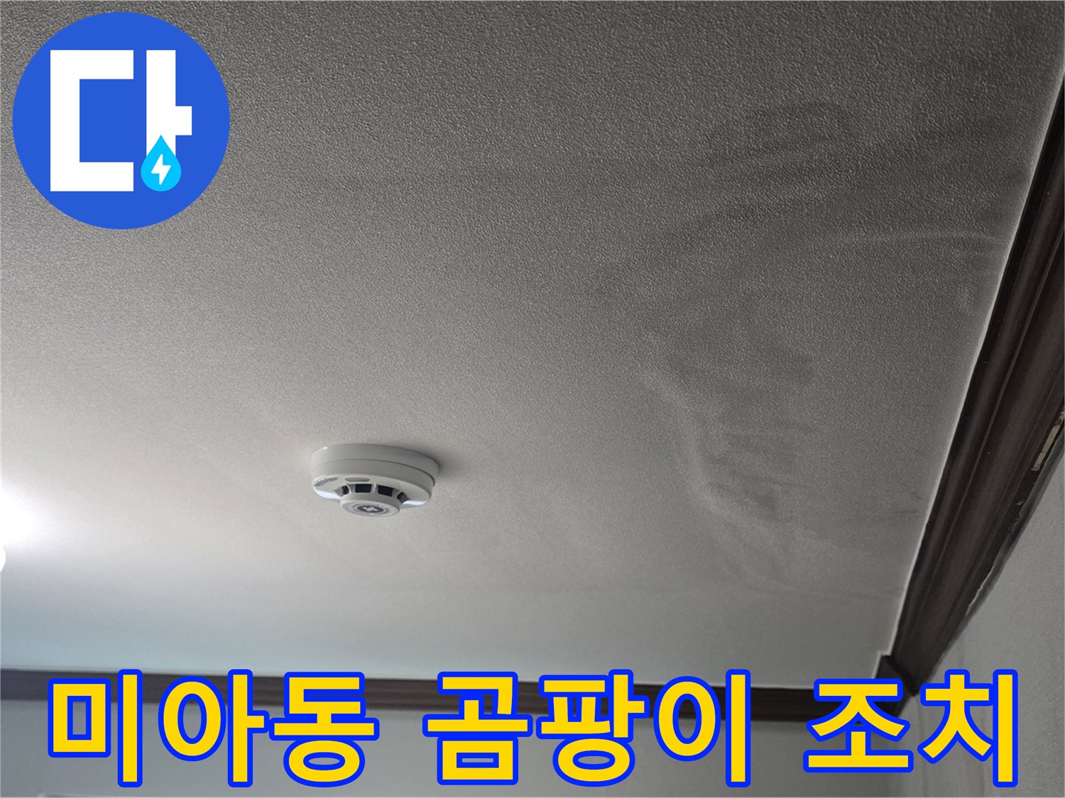 미아동 누수 - 천장 누수 흔적, 곰팡이 발생 전 조치하세요
