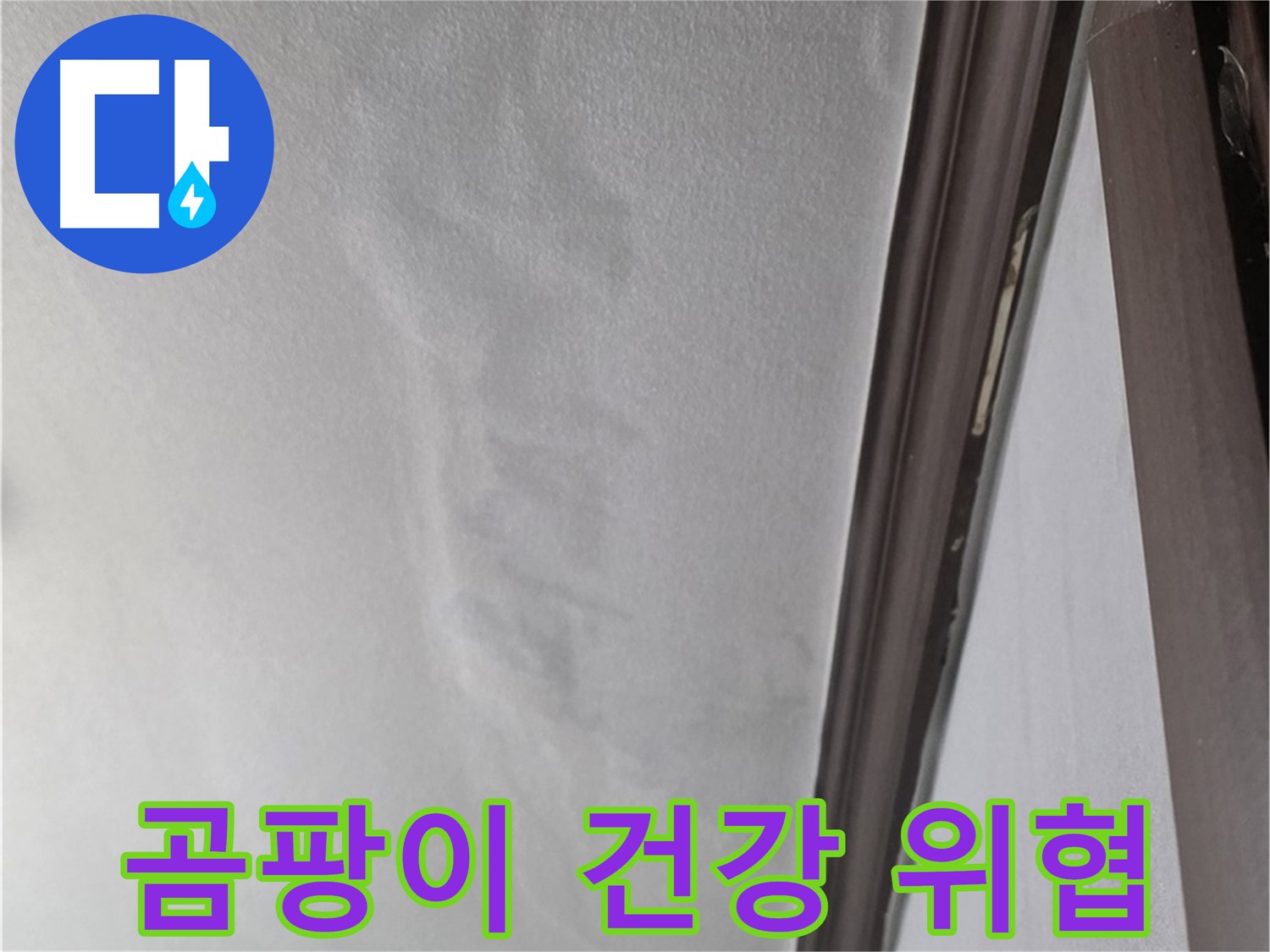 미아동 벽 누수 - 곰팡이 건강 위협