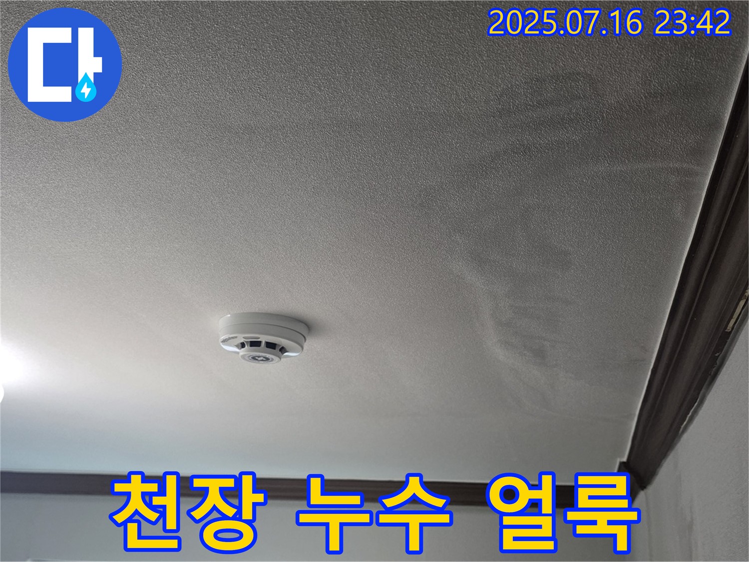 천장 누수 얼룩 - 천장에 발생한 누수 얼룩을 보여주는 사진입니다.