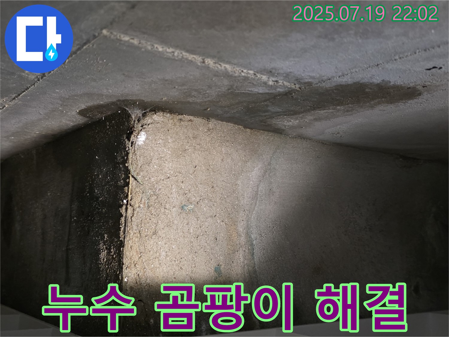 김포 장기동 누수 곰팡이 해결 - 쾌적한 환경
