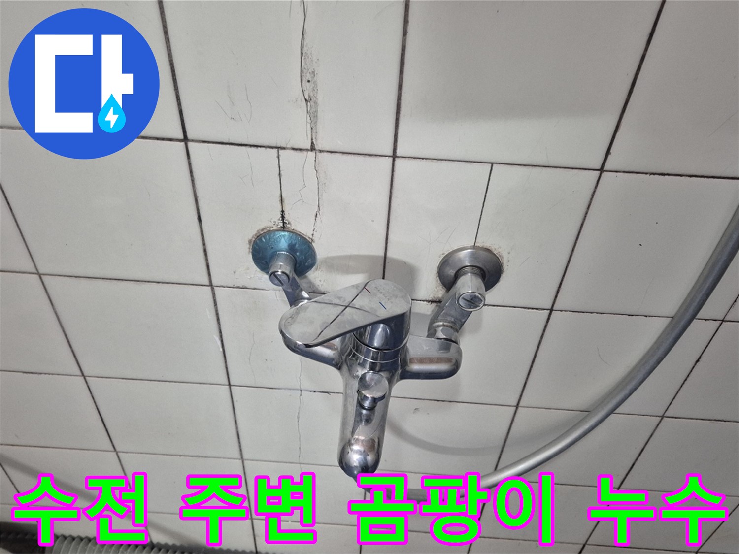 샤워기 수전 주변 곰팡이 발생 - 습기로 인한 곰팡이 및 누수 의심