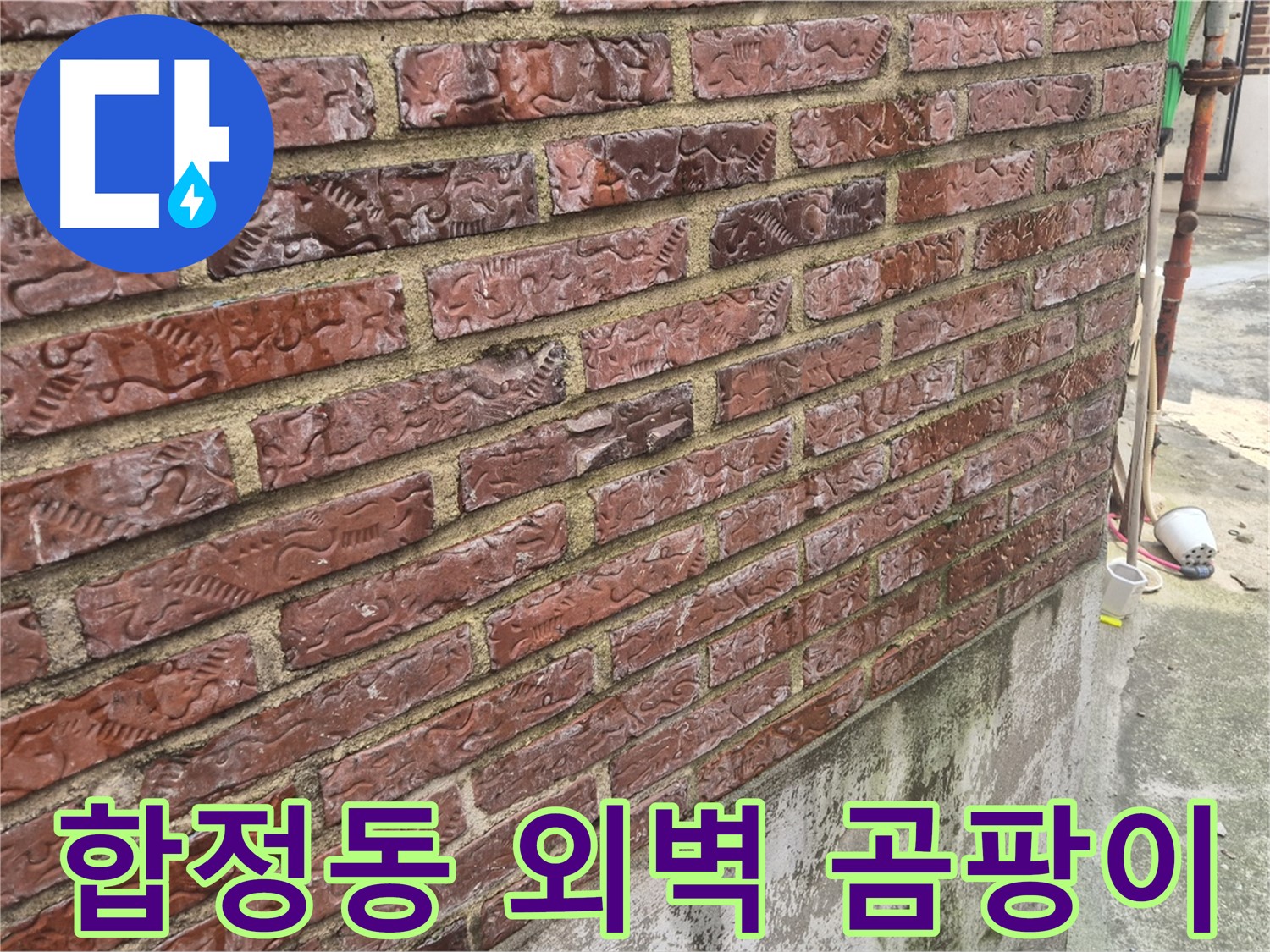 합정동 벽돌 외벽 하단 곰팡이 - 누수 심각