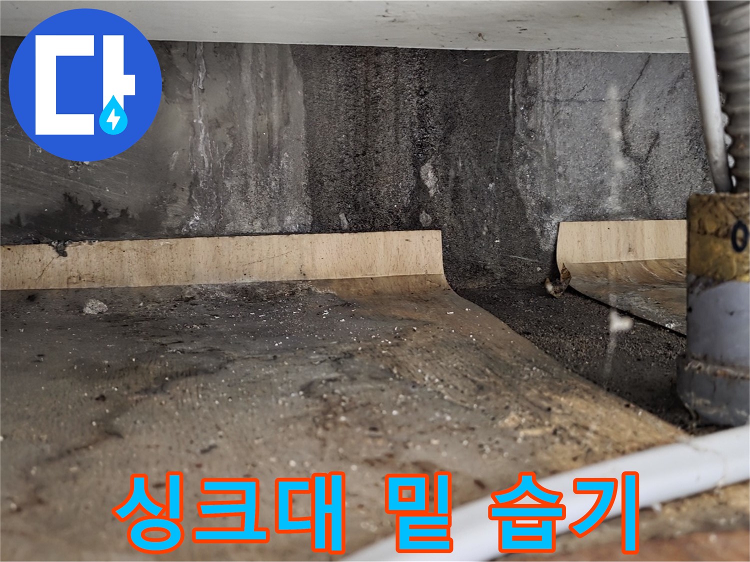 싱크대 밑 습기 - 곰팡이 서식 환경