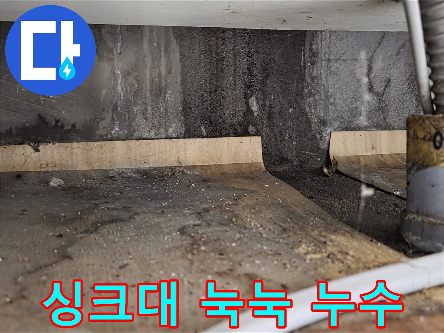 싱크대 하부 눅눅함 - 곰팡이 포자 확산