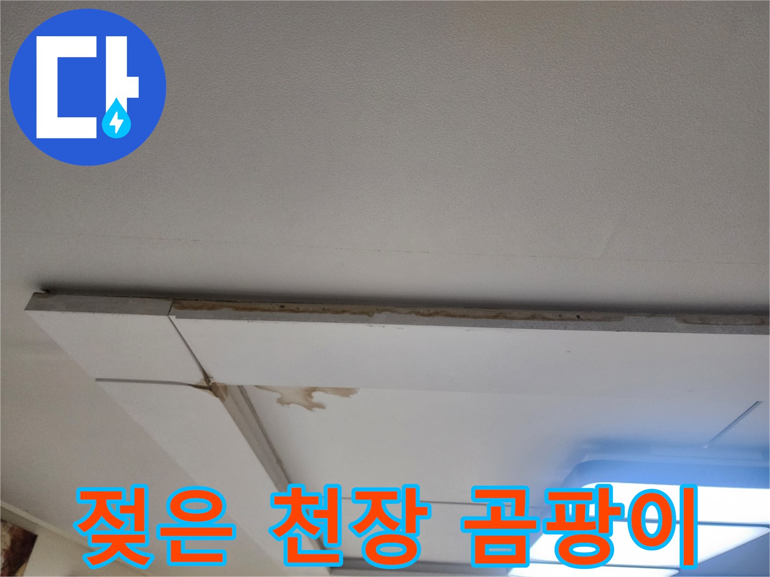 가좌2로 천장 누수 - 젖은 천장, 곰팡이 번식 위험 경고