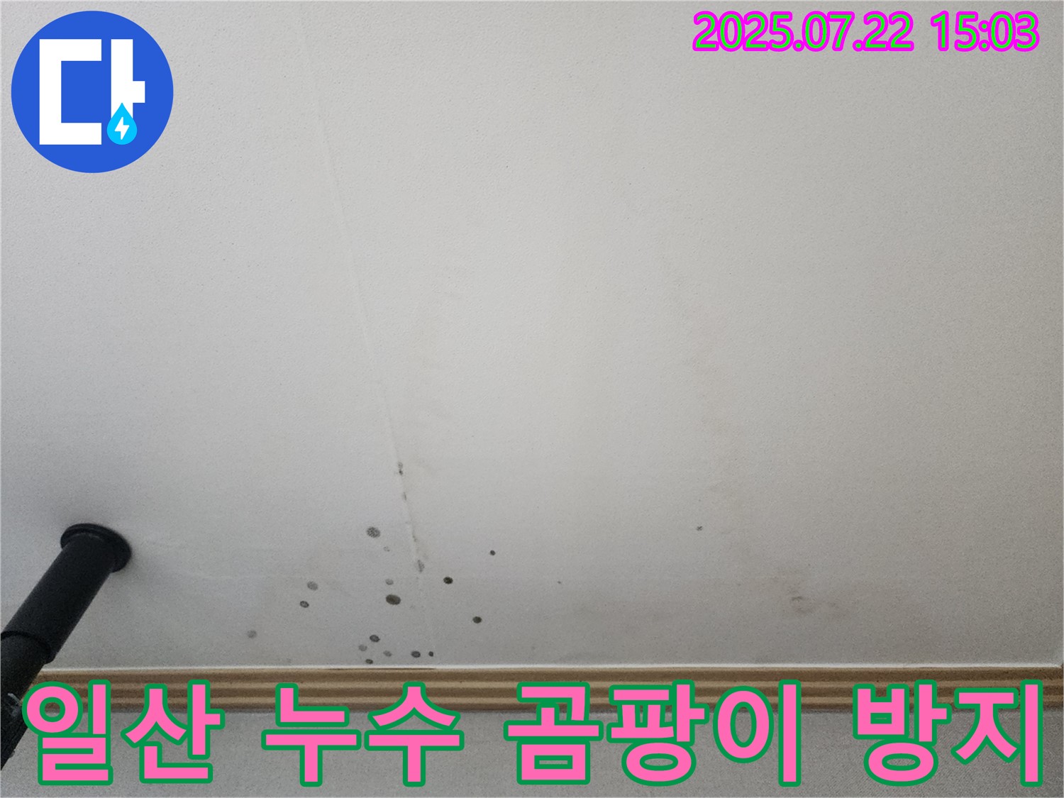 일산 가좌동 누수 - 가좌2로 아파트 천장 누수, 곰팡이 발생 전 조치가 중요합니다.