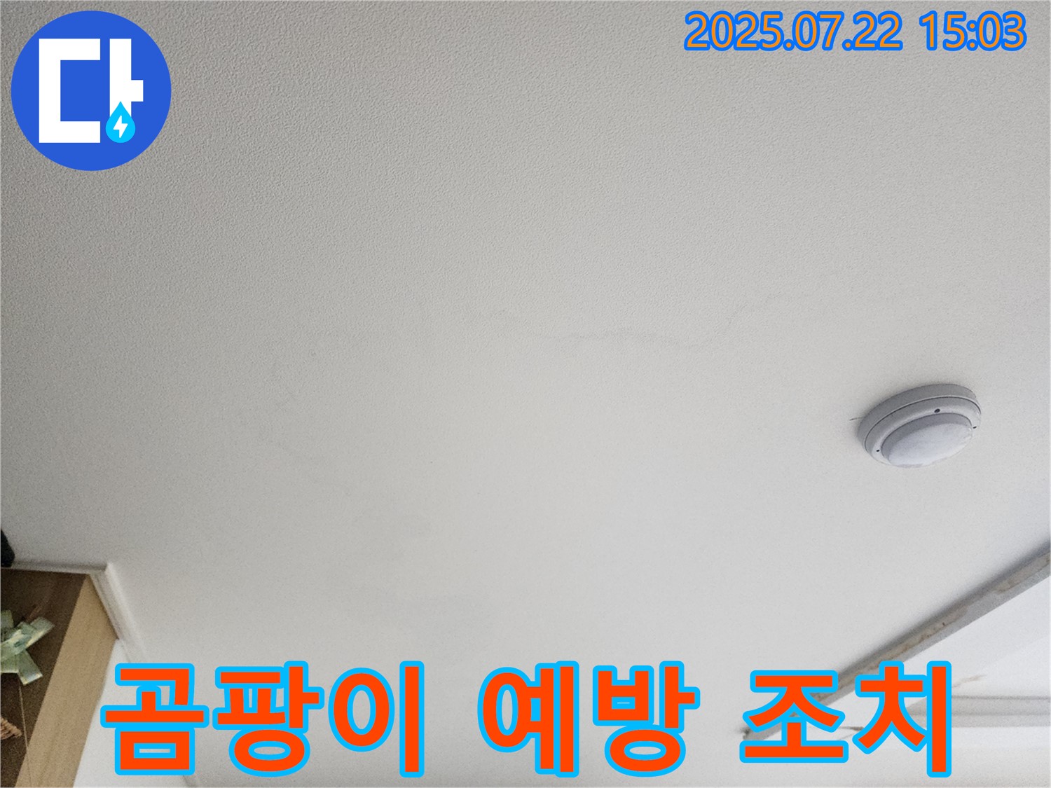 일산 누수탐지 - 천장 누수 - 곰팡이 발생 전에 서둘러 조치하세요!
